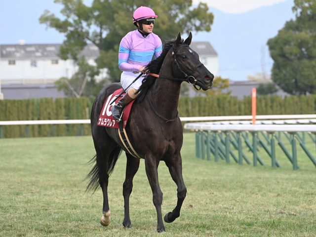 Amazon.co.jp: 第43回 高松宮記念 GⅠ 優勝 ロードカナロア 額