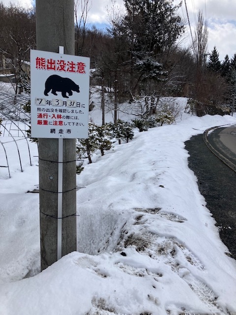 欲しいの ヒグマ速報】幅約13~14cmが『はっきり』と…うっすら積もった雪の 彫刻・オブジェ