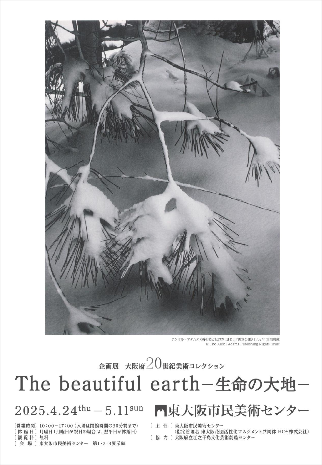 植物と人間の関わりをテーマに写真作品の企画展 「 The