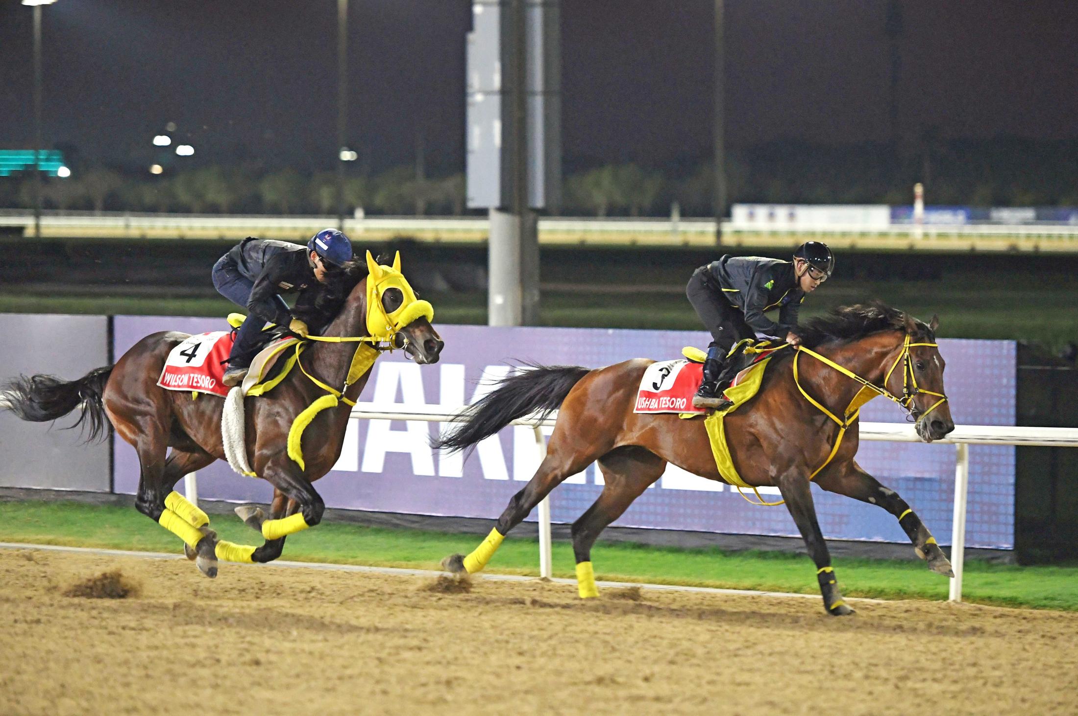 ドバイWCデー諸競走】ウィルソンテソーロ 活気十分 巻き返しへ