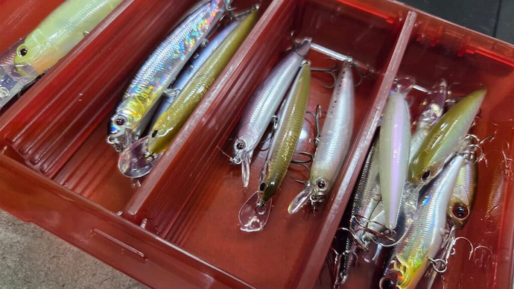 春のバス釣りは“ハードベイトでシャロー攻め” 。トゥイッチ