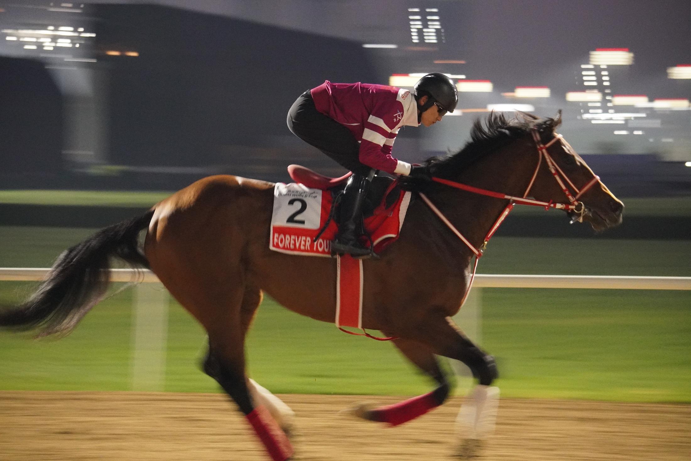 レア　美品　ドバイワールドカップ　ジャケット　　ジャンパー　競馬 20250405-00010003-sporting-000