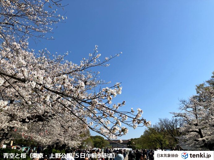 Web site image