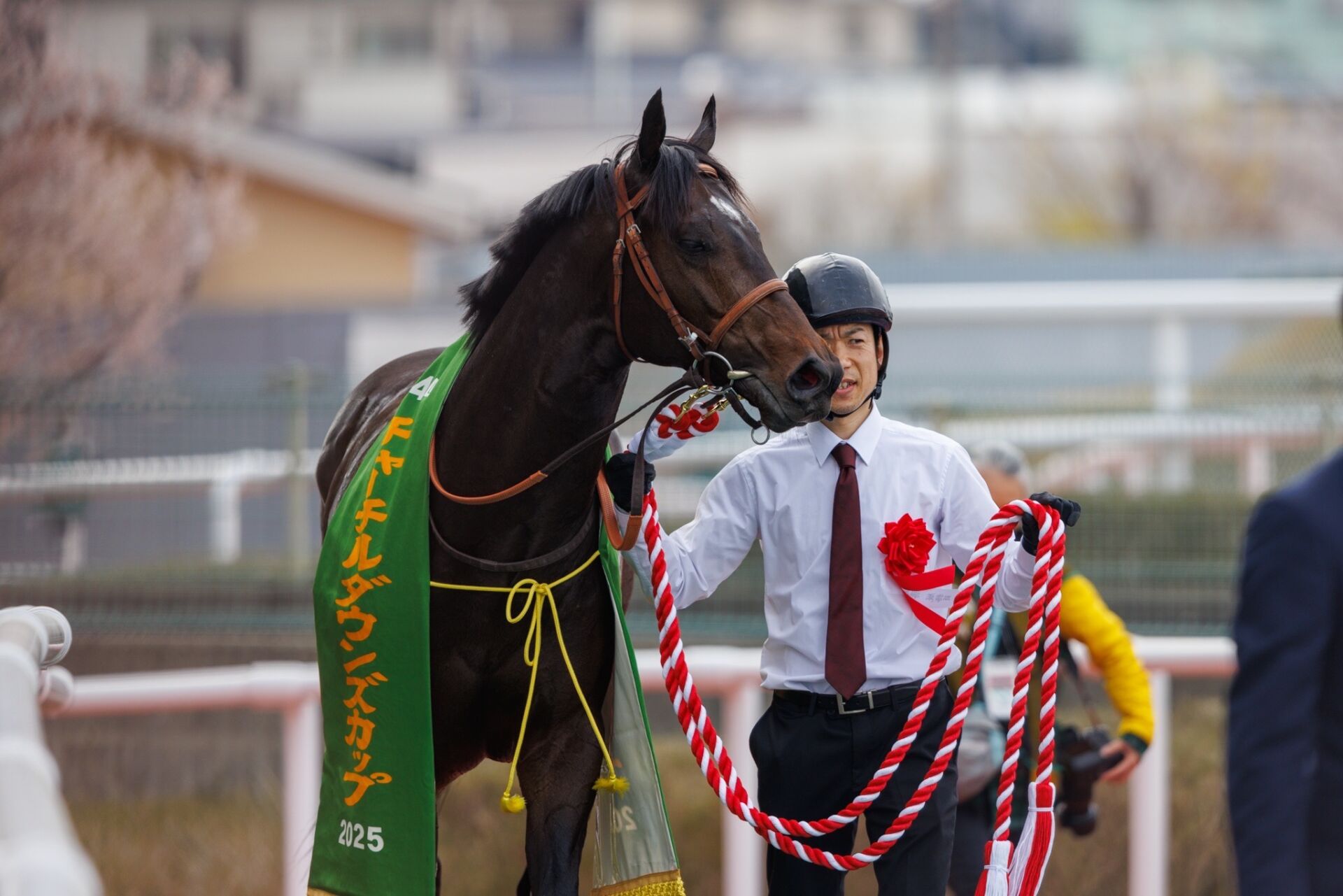 JRA必勝バイブル 奥村俊一の競馬赤本 希少本 JRA必勝バイブル 奥村俊一の競馬赤本 希少本