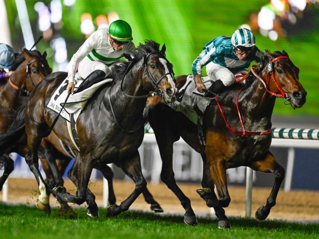ソウルラッシュ デムーロ 世界限定 ホースレーシングカード 競馬