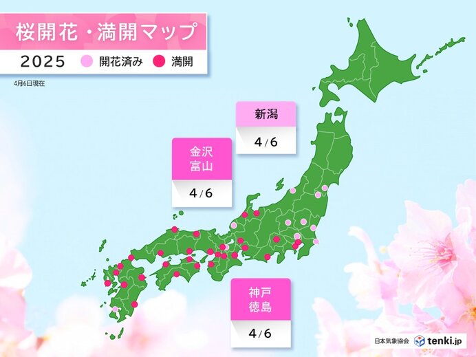 Web site image