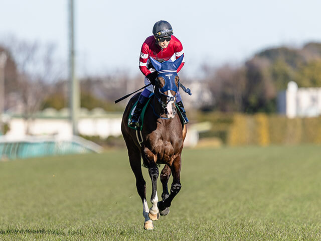 阪神牝馬S想定騎手】ボンドガールは武豊騎手、スウィープ