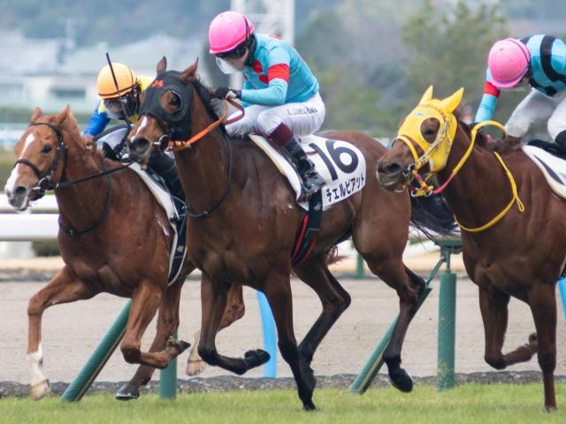 牝馬でGI・6勝の名伯楽 「ゆかりの血統」で桜花賞初制覇なるか