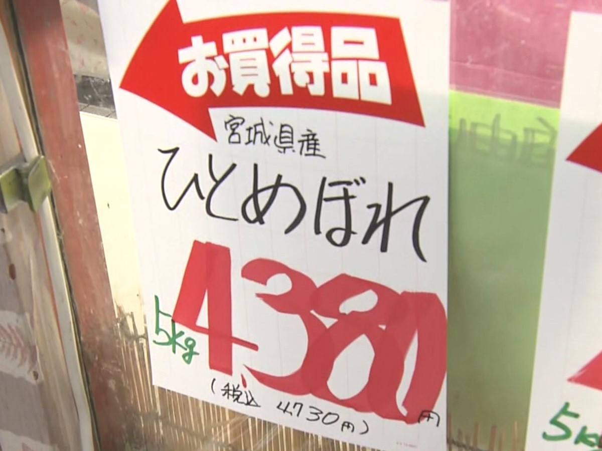 岐阜県産 米 みいたん 新米】【令和7年産】ぎふの米「岐阜あきたこまち」 5㎏×2: 飛騨