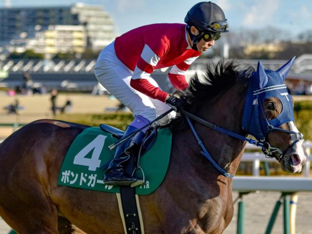 G1馬 ラキシス 実使用 調教ゼッケン 競馬 ウマ娘 ディープ