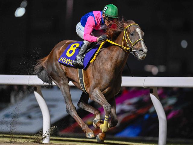 川崎・川崎記念結果】8歳馬メイショウハリオが貫録V！JpnI4勝目