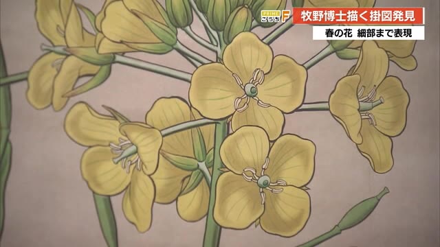 前島隆宇 直筆画 「植物園からの天景」 絵画 - 絵画