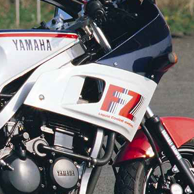 ヤマハ FZ400R 【動画有】 ローン可 車検残2024年6月迄 ハーフ