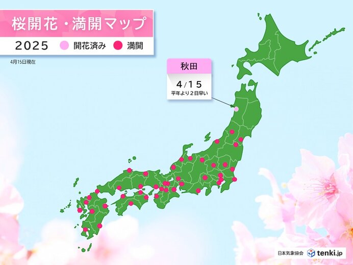 Web site image