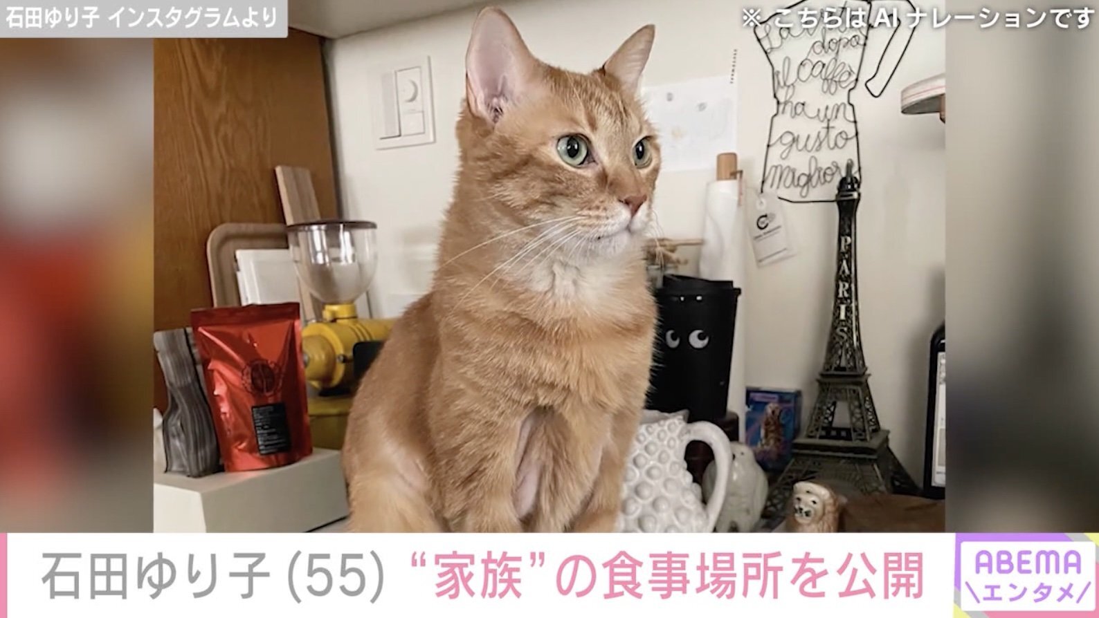 オシャレな自宅が話題・石田ゆり子（55）、愛猫の食事場所を公開