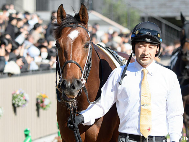 キタサンブラックの半弟 土曜阪神4Rで武豊騎手を背に勝ち上がり キタサンブラックの半弟 土曜阪神4Rで武豊騎手を背に勝ち上がり