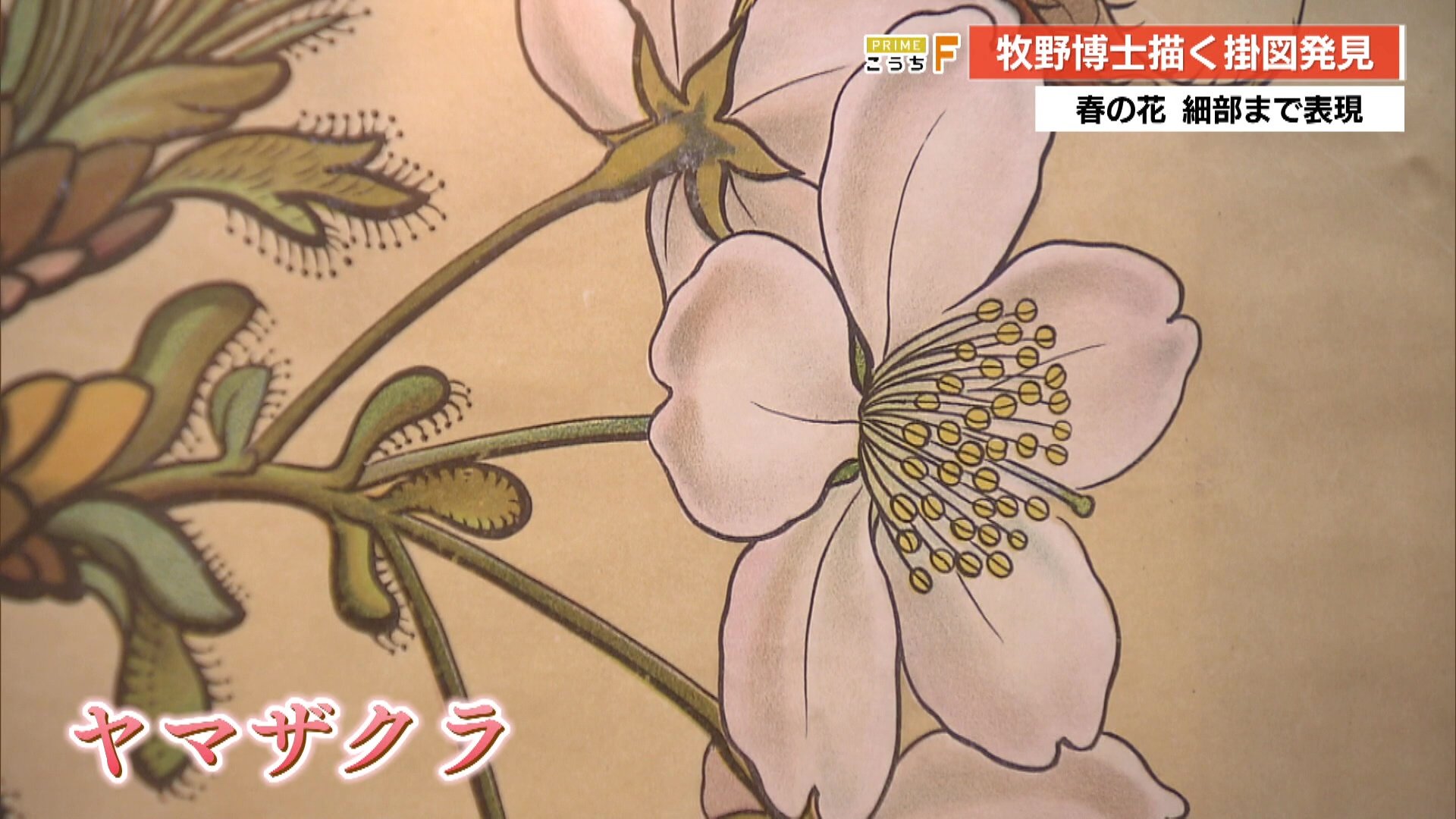 特別展「士たちの富士山」図録販売開始のお知らせ | 【公式