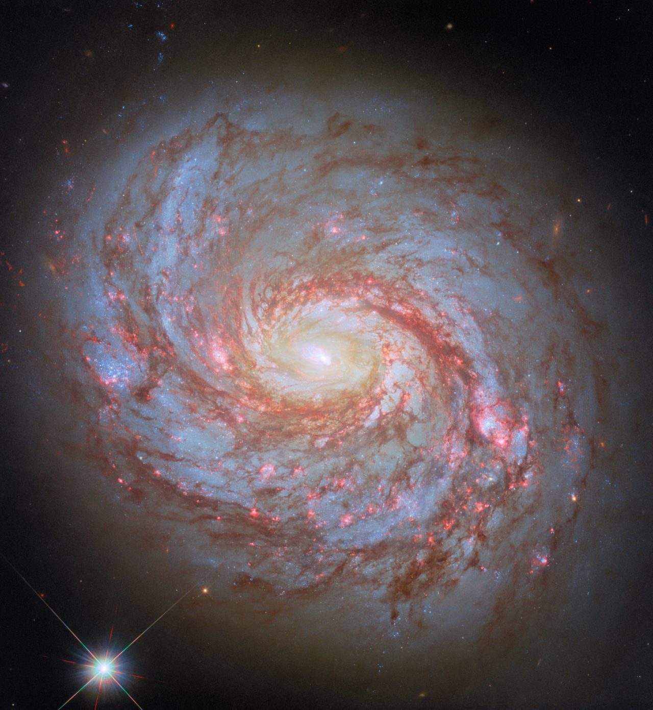 紅色は星形成領域の証 ハッブル宇宙望遠鏡が観測した渦巻銀河