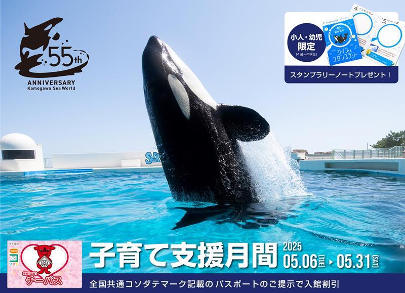 【即納】 子育て支援で特別割引 5月6日から31日まで 鴨川シーワールド その他