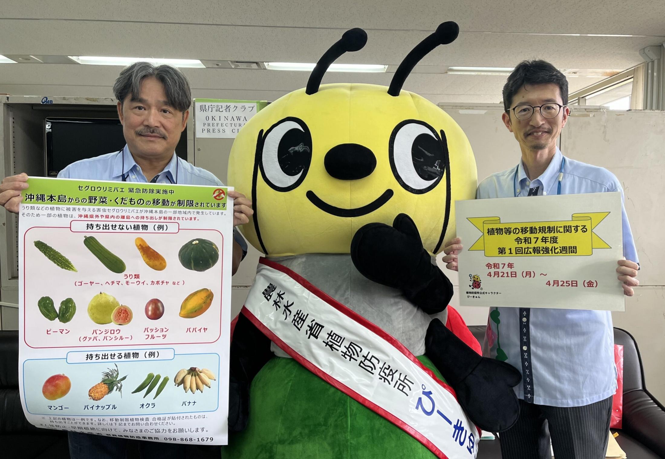 沖縄から持ち出さないで 紅イモなど植物の移動規制、広報強化