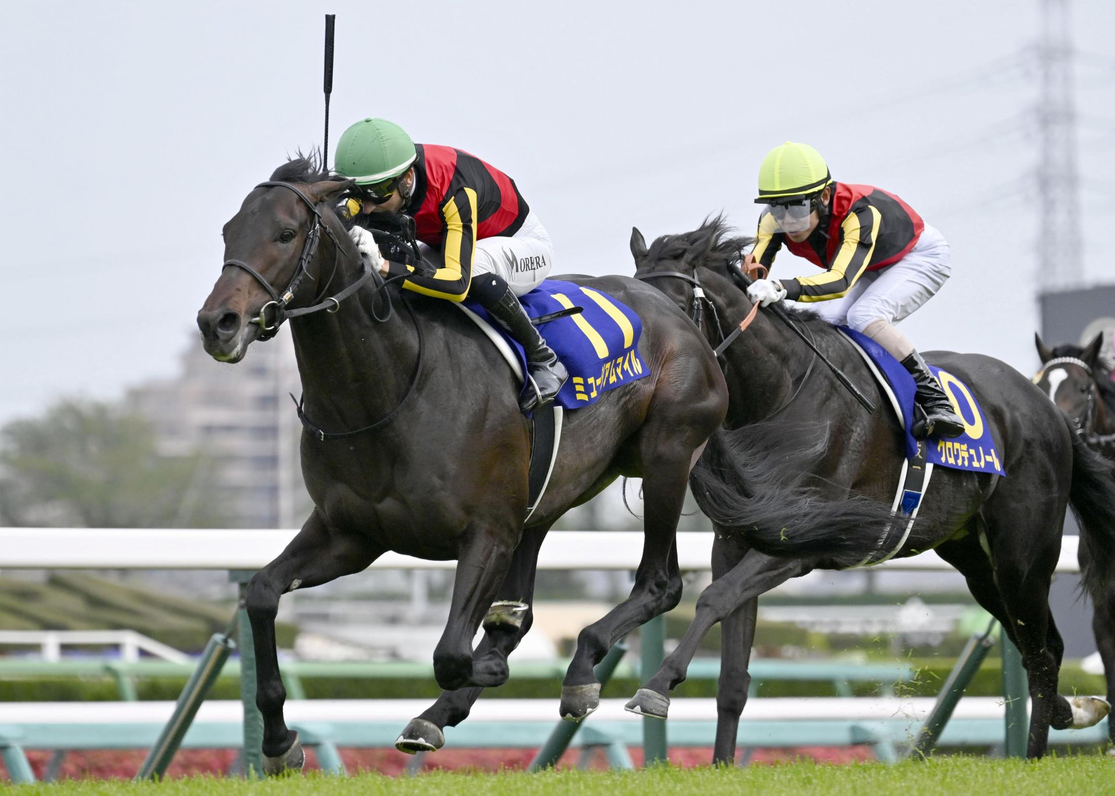 JRA 競馬 有馬記念 G1 非売品 おうまさんイヤーマフ 栗毛 - メルカリ