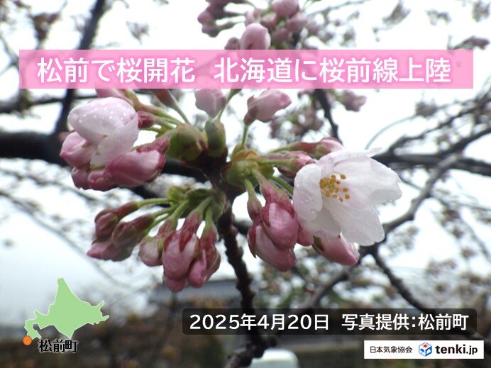 Web site image
