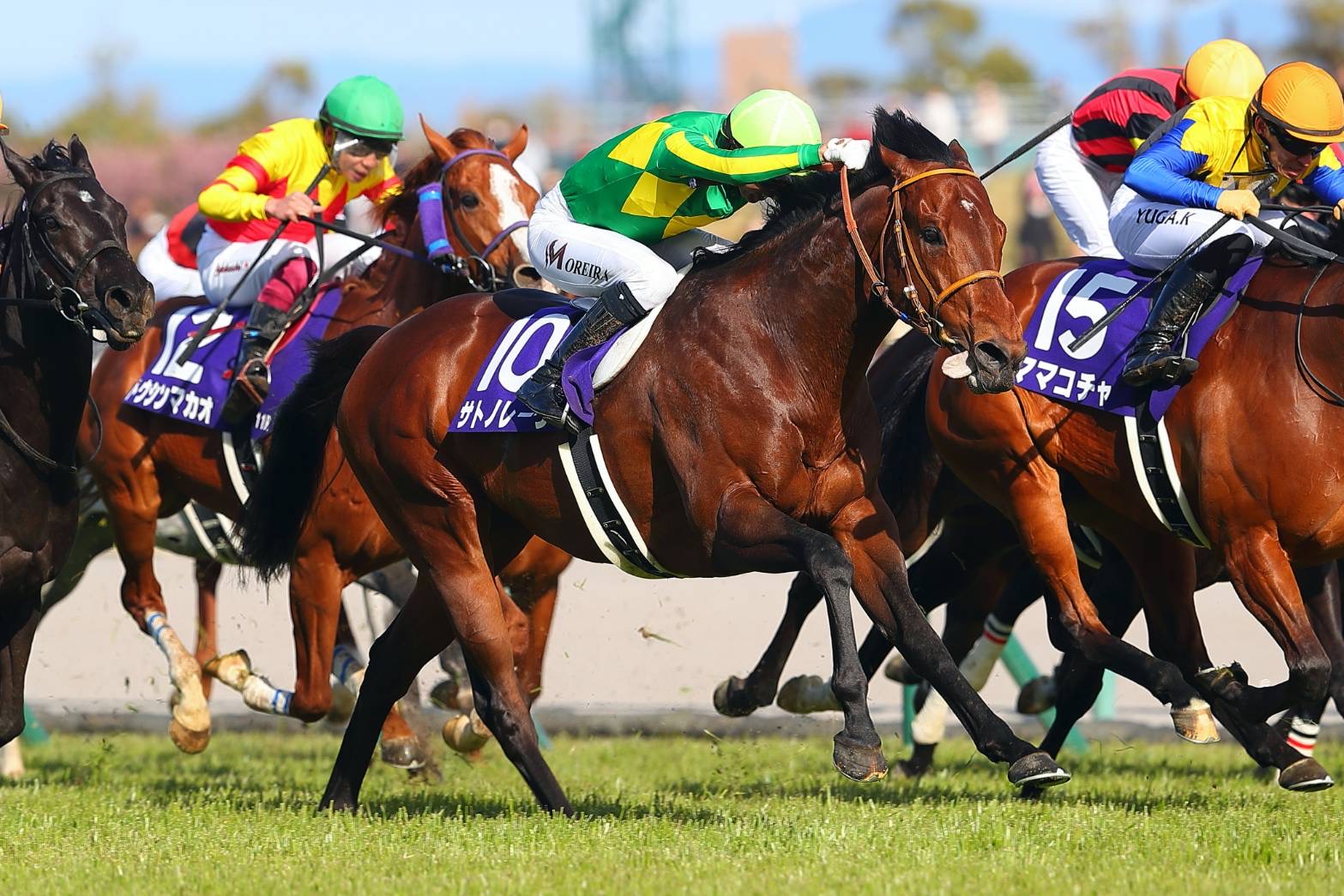 香港チャンピオンズデー出走予定馬日本馬が現地到着