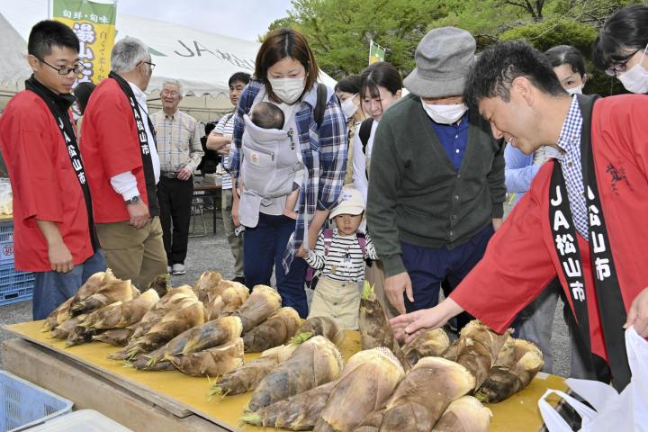 特産タケノコ400キロ 松山で「まつり」大にぎわい(愛媛)(愛媛 特産タケノコ400キロ 松山で「まつり」大にぎわい(愛媛)(愛媛