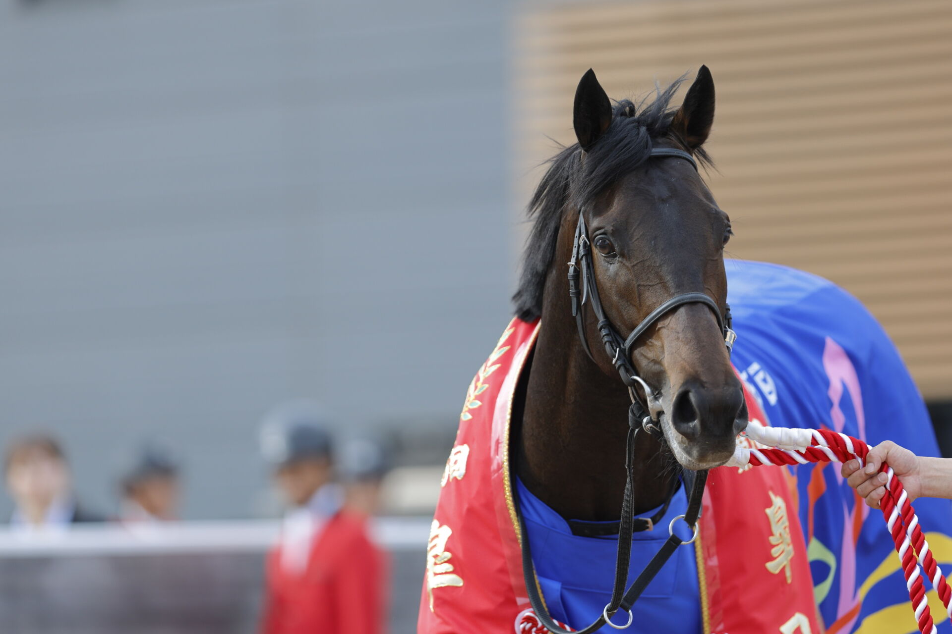 中山雲水の馬でメシが喰える馬券術 楽天ブックス: 中山雲水の馬でメシが喰える馬券術 - 中山雲水