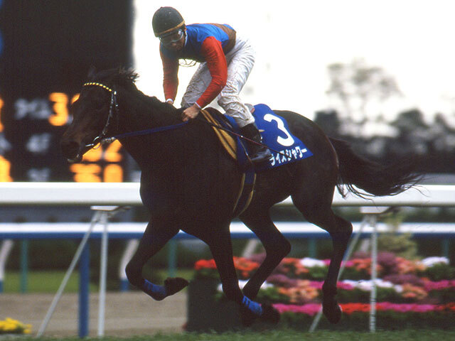 貴重品］ ライスシャワー ゼッケン 第111回天皇賞 レプリカ JRA