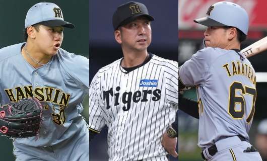藤川監督の下で”ブレイク”か…阪神、1軍戦力に浮上した選手（4