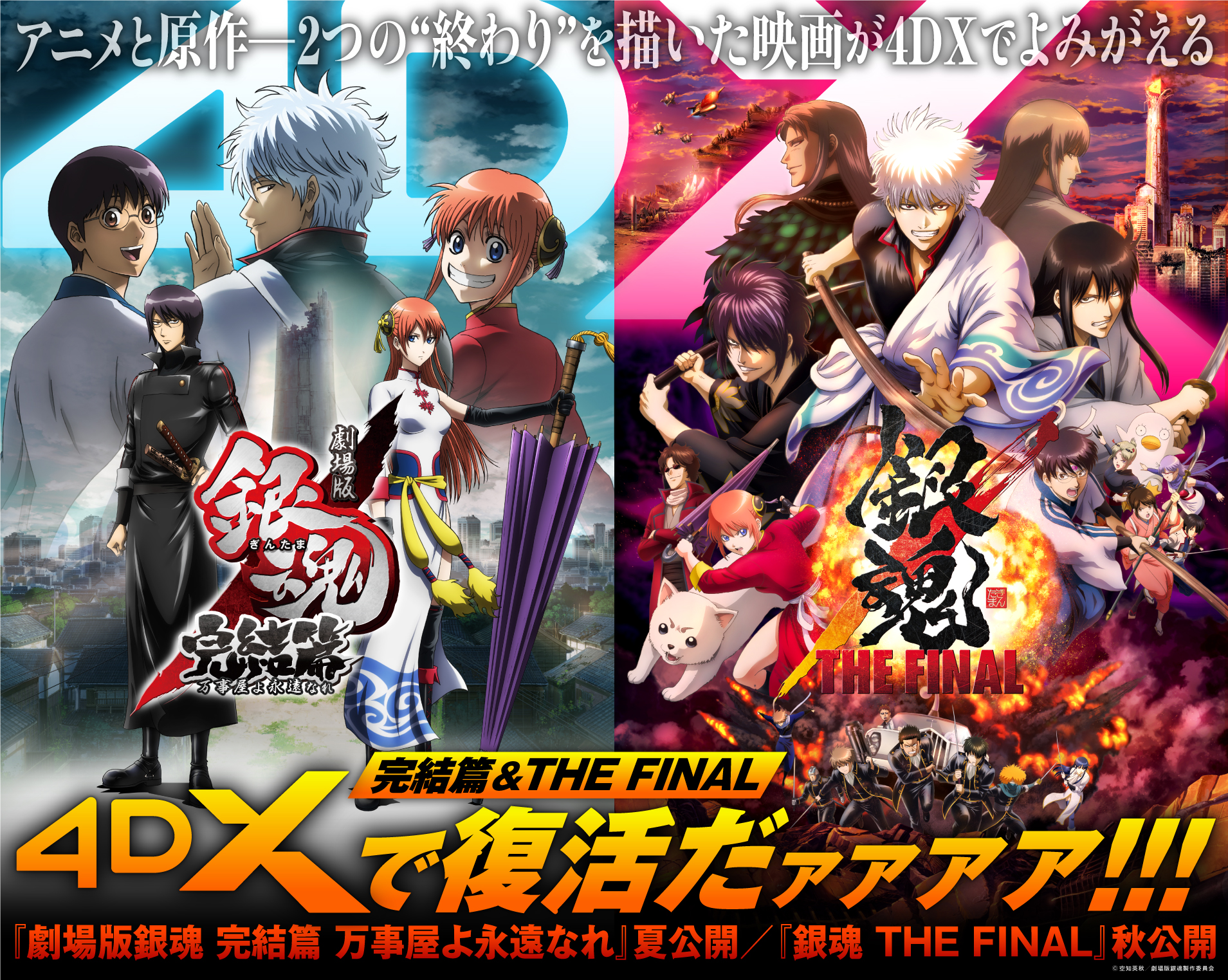 銀魂 THE FINAL』『万事屋よ永遠なれ』4DX版上映が決定 “マダオ