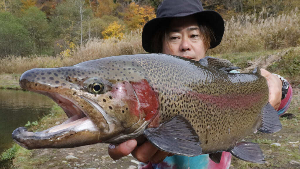 蒼い水、赤い森と白き鱒:大型鱒族がたゆたう水辺への小さな旅 蒼い水、赤い森と白き鱒:大型鱒族がたゆたう水辺への小さな旅