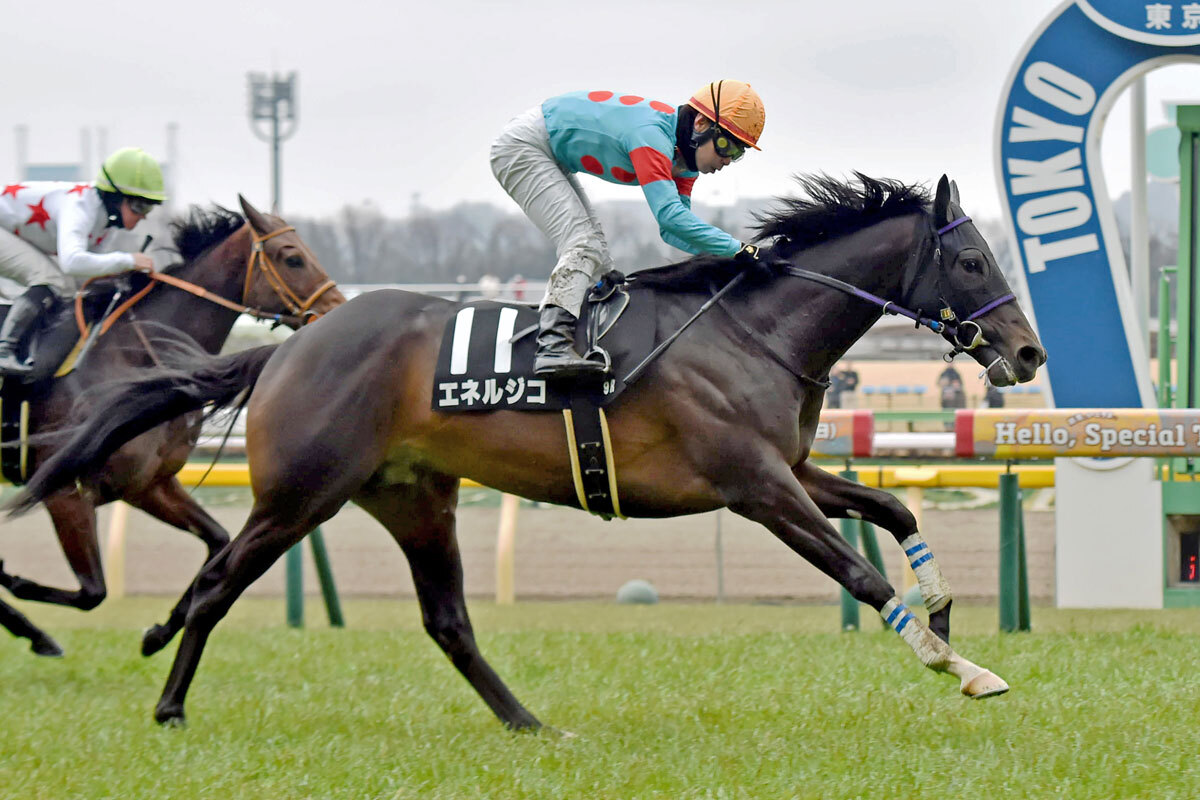 他の人はこちらも検索 青葉賞】馬券的中への近道 SS×トニービン配合馬を探せ！／坂上 Collection