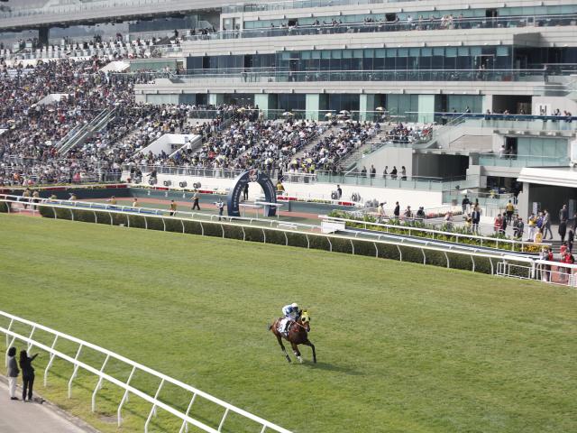 香港チャンピオンズデー 日本から3競走に計8頭が出走（netkeiba） - Yahoo!ニュース