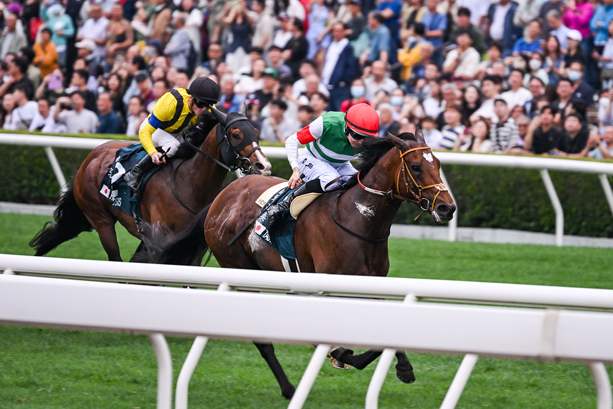 注目馬動向】23年ダービー馬タスティエーラが香港・クイーン