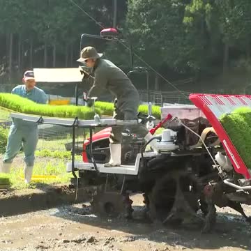コメ不足の中…西粟倉村で早場米の田植え始まる コシヒカリなど コメ不足の中…西粟倉村で早場米の田植え始まる コシヒカリなど