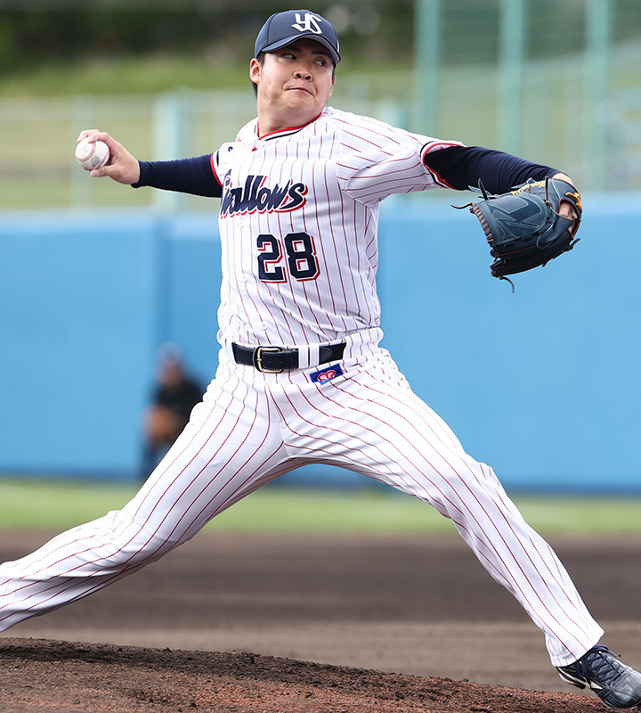 NPB公認マーク入り‼️ヤクルトスワローズ松本健吾選手サイン入り硬式木製バット NPB 206 松本健吾 サインカード 06/10 - メルカリ