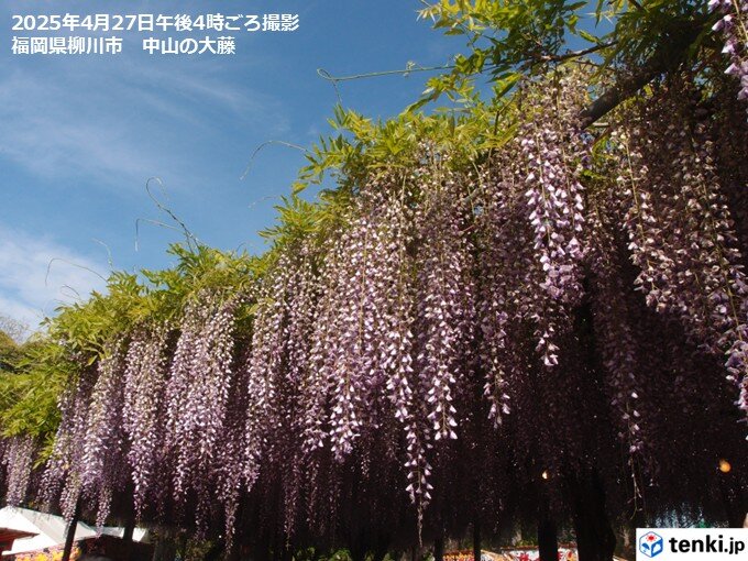 Web site image
