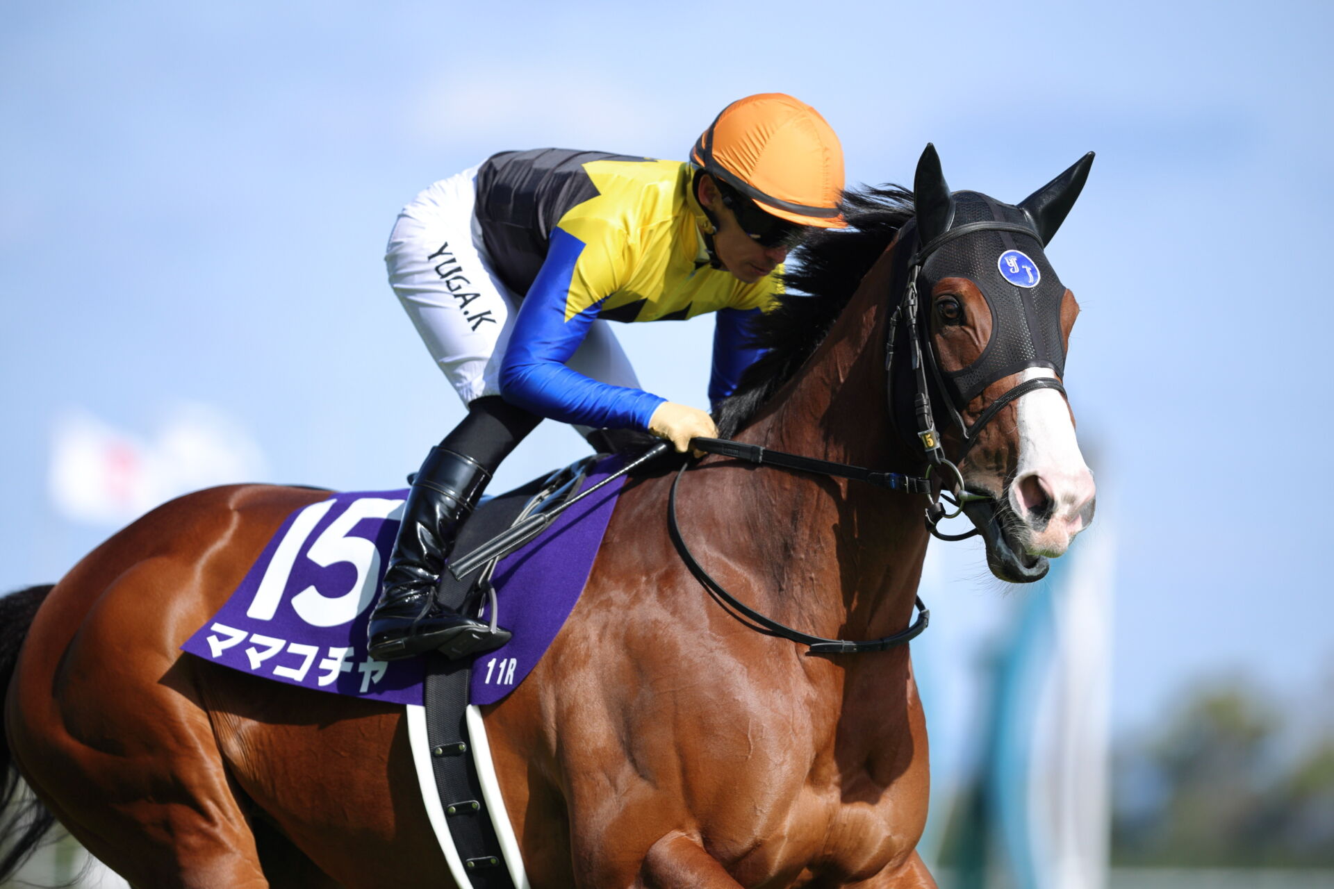 京王杯SC登録馬】ママコチャなど13頭（競馬のおはなし） - Yahoo