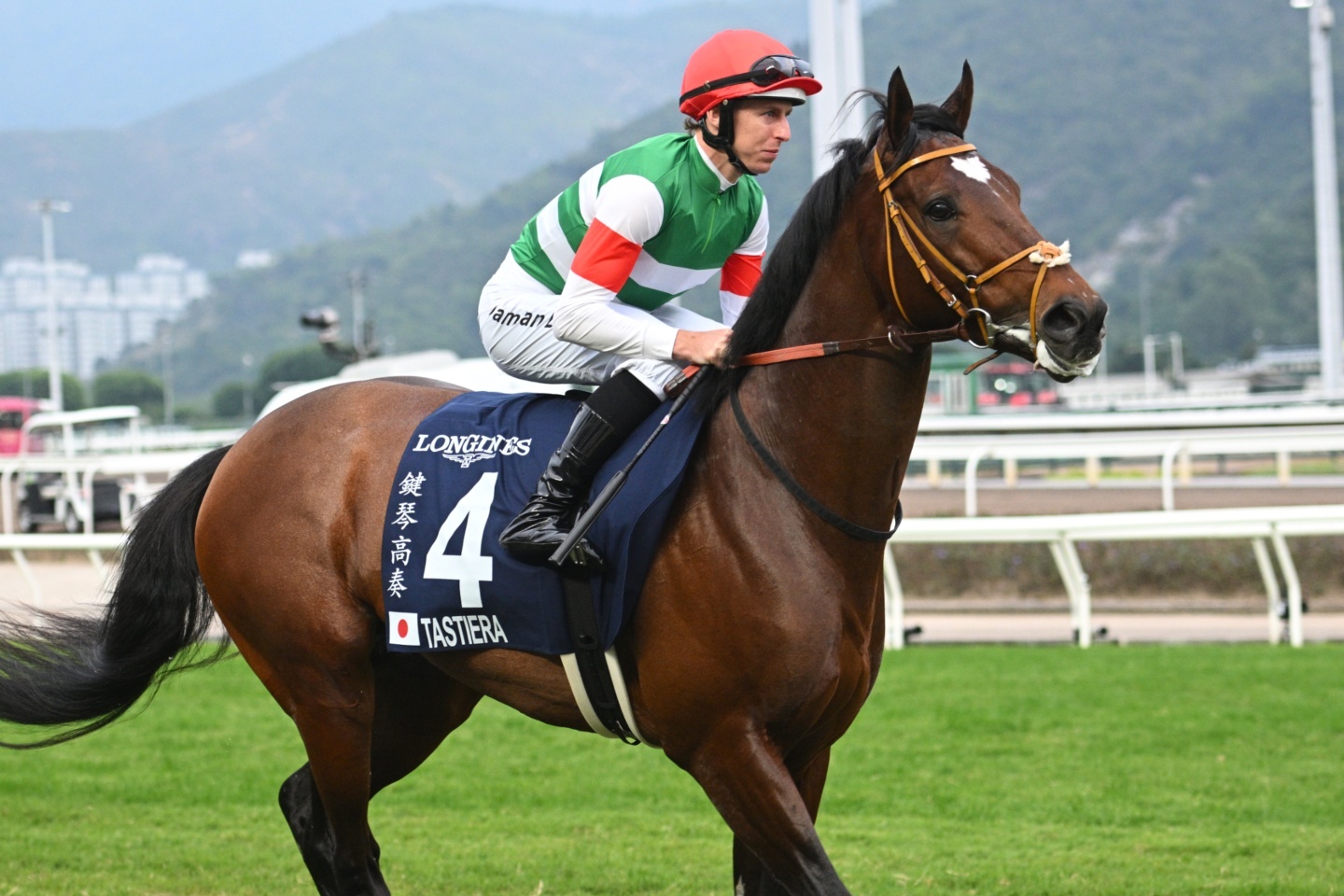 競馬　ポスター　タスティエーラ　大特価 競馬 ポスター タスティエーラ 大特価 - メルカリ
