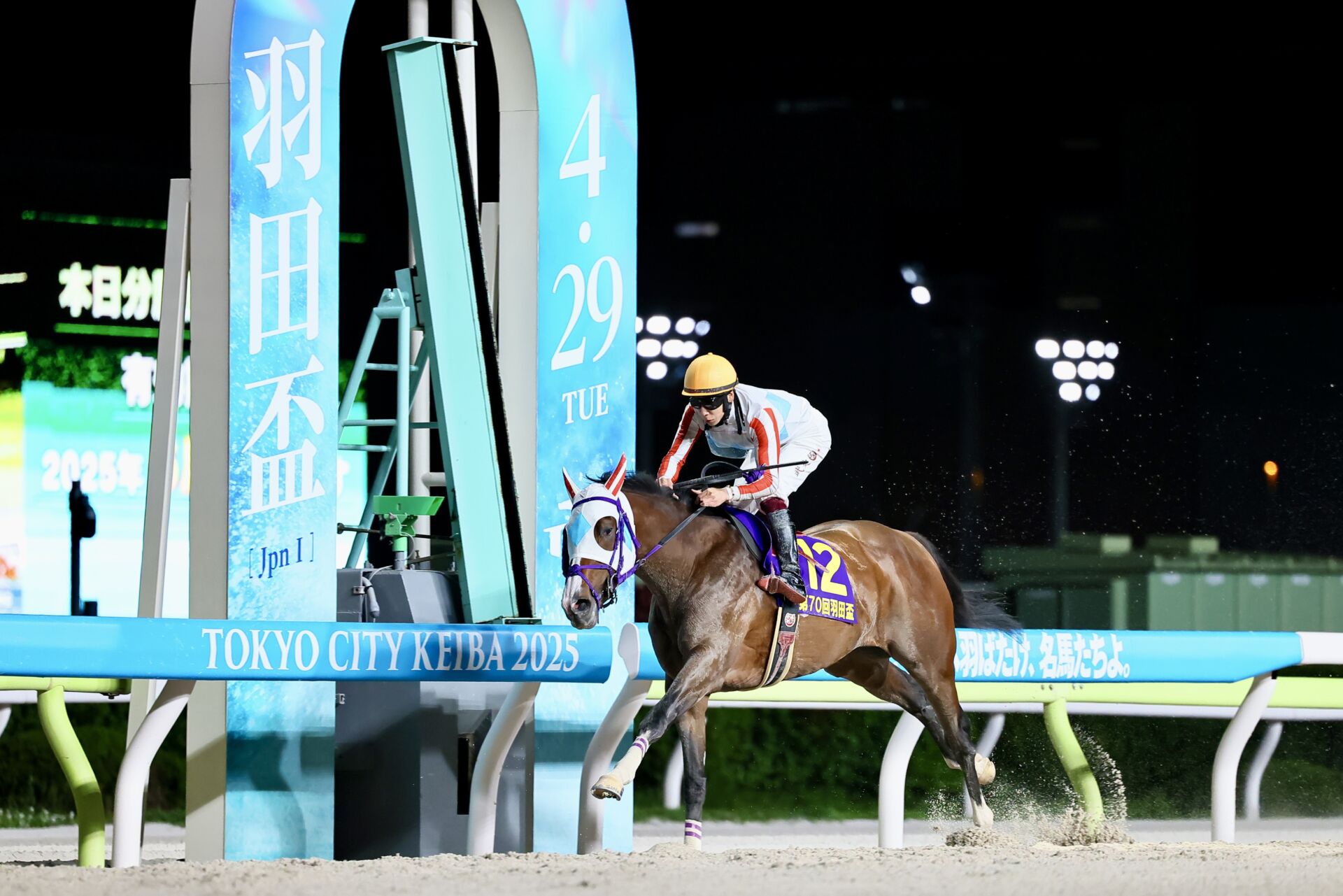 羽田盃】ナチュラルライズが5馬身差圧勝(競馬のおはなし 羽田盃】ナチュラルライズが5馬身差圧勝(競馬のおはなし