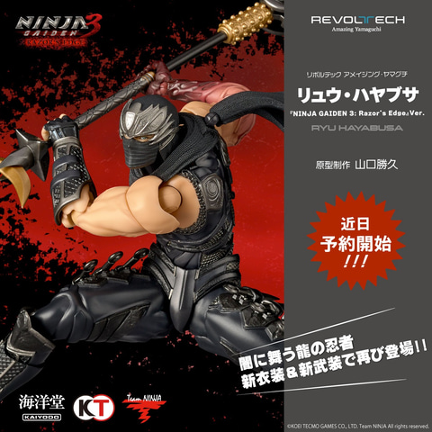 NINJA GAIDEN」シリーズよりリュウ・ハヤブサとかすみが NINJA GAIDEN」シリーズよりリュウ・ハヤブサとかすみが