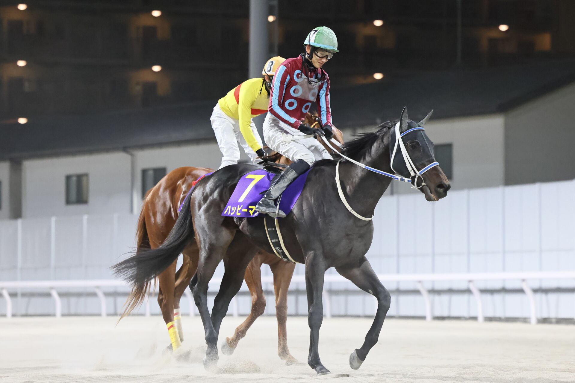 兵庫チャンピオンシップ】ハッピーマンは5枠6番へ（競馬の