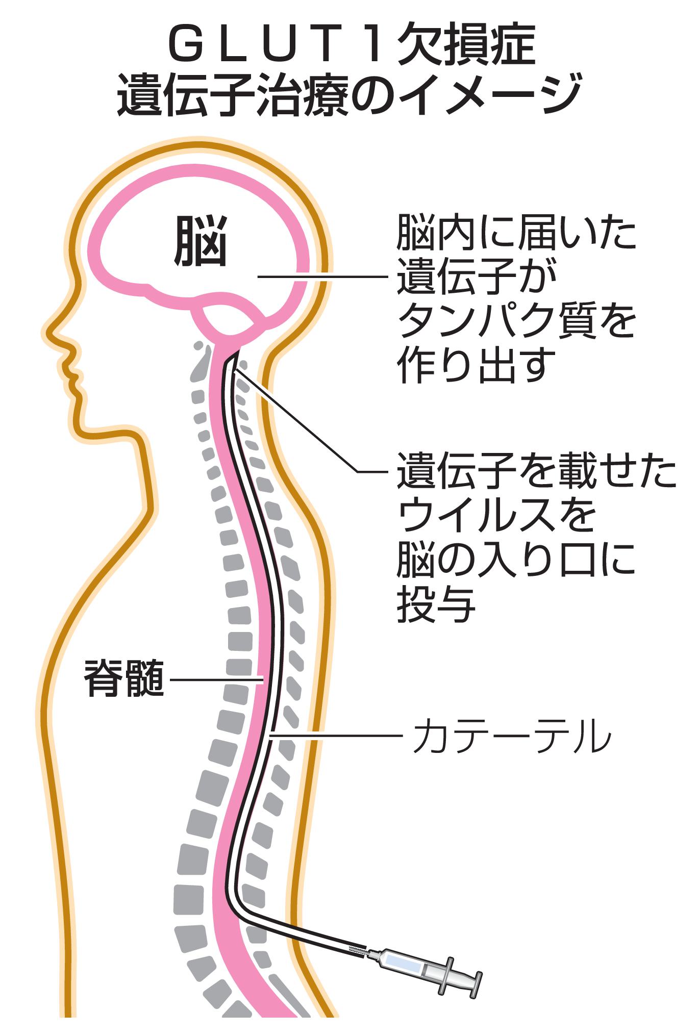 靈智醫學と治病 71ws2oZKZlL.jpg