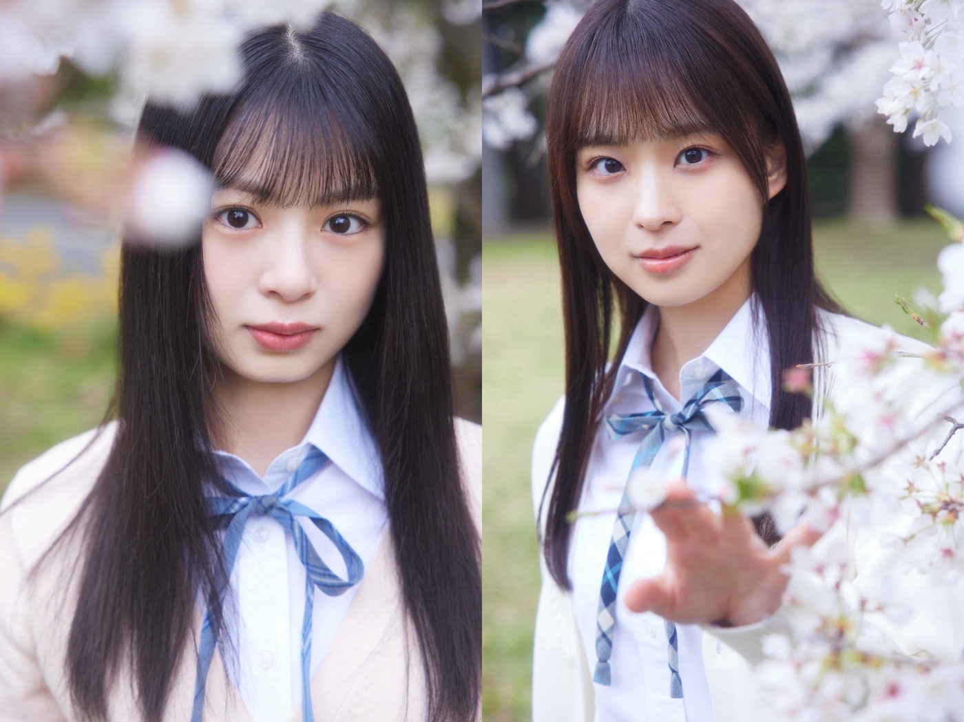 稲熊ひな 櫻坂46 生写真 四期生お披露目制服 コンプ 2セット