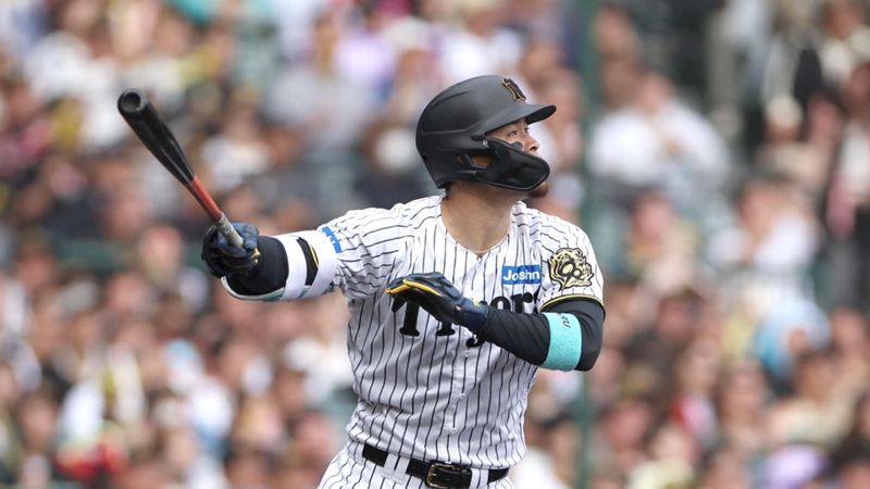 阪神タイガース　佐藤輝明選手　セラミックパワーギア　リストプロテクトギア 阪神タイガース 佐藤輝明選手 セラミックパワーギア リスト