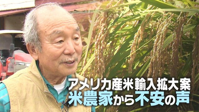 「価格で戦えない」関税めぐる交渉の切り札…“アメリカ産米輸入拡大案”に新潟の米農家から不安の声 「価格で戦えない」関税めぐる交渉の切り札…“アメリカ産米輸入拡大案”に新潟の米農家から不安の声