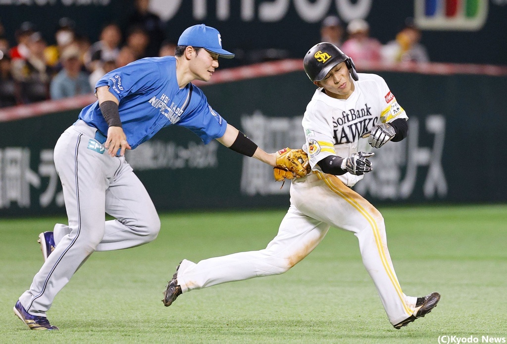 タカコレ 野村勇 福岡ソフトバンクホークス タカコレカード ＃99 野村勇｜Yahoo