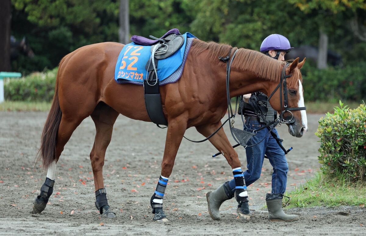 京王杯スプリングC】充実6歳馬が驚異のJRAレコードV！0秒